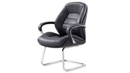 Gates Leather Guest Chair
