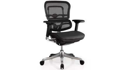 Ergo Elite Mesh Back/Seat Swivel Chair