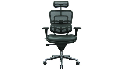 Ergohuman Leather Seat Swivel Chair with Headrest Mesh Back