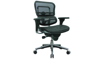 Ergohuman Leather Seat Swivel Chair with Mesh Back