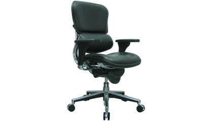 Ergohuman Leather Swivel Chair