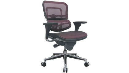 Ergohuman Mesh Back & Seat Swivel Chair
